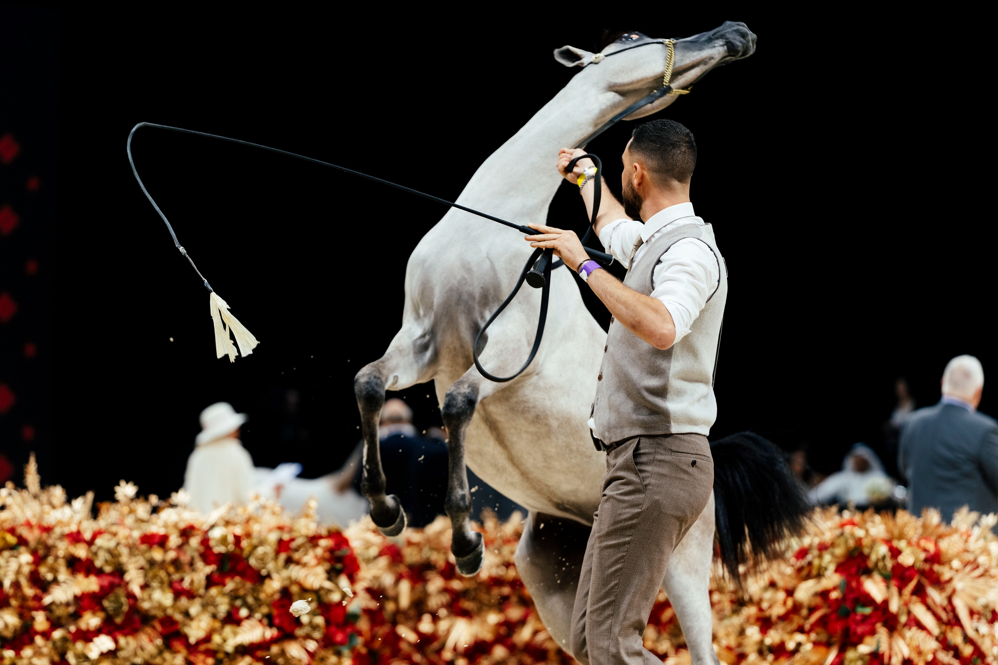 Arabian Horse Championships