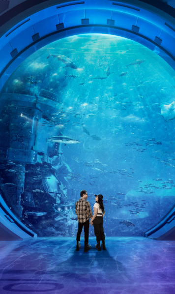 ABU DHABI: WHERE EVERY VISIT IS AN EXPERIENCE